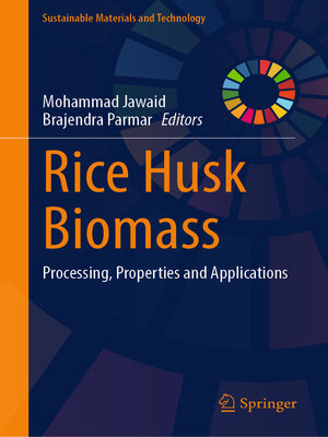 cover image of Rice Husk Biomass